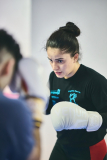 Fighting Sports Team Becker