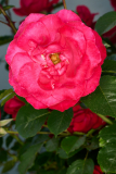 1_NI8_4803-105-mm-1-60-s-25-05-31