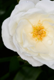 2_NI8_4160-105-mm-1-60-s-25-05-29