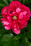 2_NI8_4815-105-mm-1-60-s-25-05-31