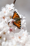NI8_1290-200-mm-1-5000-s-25-04-04