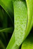 NI8_3817-105-mm-1-60-s-25-05-25