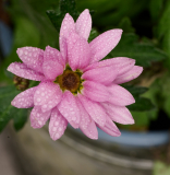 Nandlstadt_25-08-16_17-28-NI8_4476-105-mm-1-60-s-25-08-16