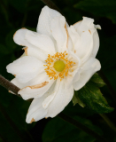 Nandlstadt_25-08-16_17-38-NI8_4510-105-mm-1-60-s-25-08-16