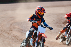 26-05-08_16-06_260-mm_NI8_7582