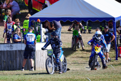 26-08-15_09-41_600-mm_NI8_1584