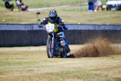 26-08-15_09-54_600-mm_NI8_2037