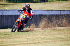 26-08-15_10-03_600-mm_NI8_2189