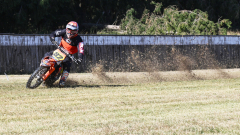 26-08-15_10-04_135-mm_NI8_8645