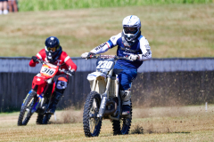 26-08-15_10-07_600-mm_NI8_2507