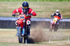 26-08-15_10-10_600-mm_NI8_2705