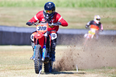 26-08-15_10-10_600-mm_NI8_2714