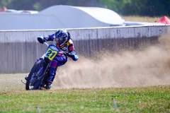 26-08-15_10-42_600-mm_NI8_2896