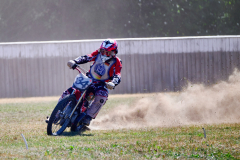 26-08-15_10-59_600-mm_NI8_2997