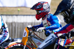 26-08-15_11-01_145-mm_NI8_9424
