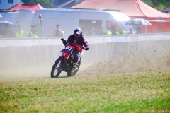 26-08-15_11-06_410-mm_NI8_3175