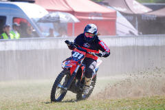 26-08-15_11-06_500-mm_NI8_3104