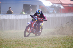 26-08-15_11-06_540-mm_NI8_3121
