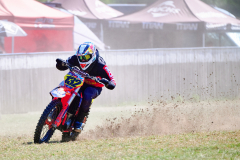 26-08-15_11-07_470-mm_NI8_3180