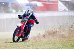 26-08-15_11-07_470-mm_NI8_3182
