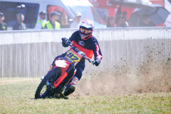 26-08-15_11-10_600-mm_NI8_3250